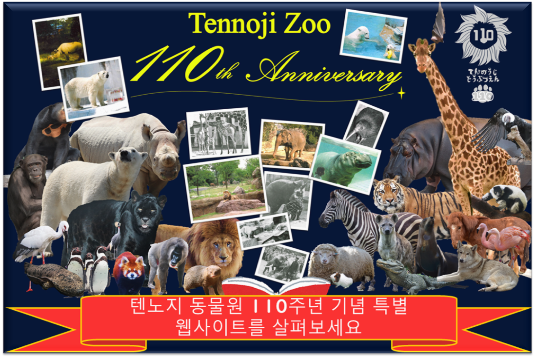 トップページロゴ下用画像