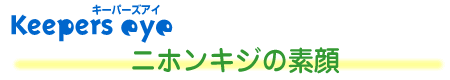 ǂAVI