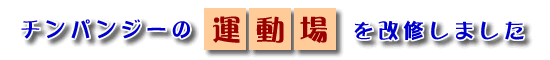 `pW[̉^C܂