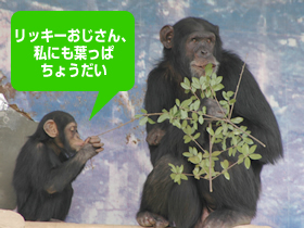 Ȃ܂ݐĤ́Aqǂ̓łB