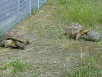 �q�c�W�L��̃��N�K������