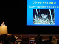 �쐶�����ۑS�V���|�W�E��