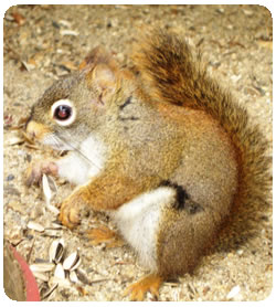 �A�����J�A�J���X