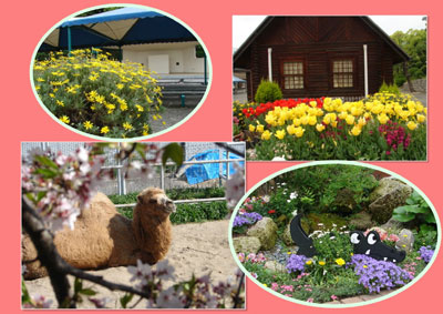 �t�ɂ́A�������������ł͂Ȃ��A�ꏏ�ɉԂ����ĉ��̂��y������������܂���ˁB