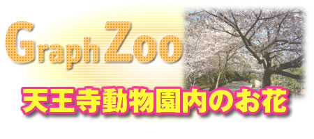 �V�������������̂���