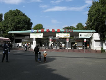 今年のゾウ会議の会場となった上野動物園