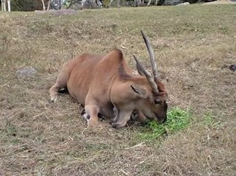 ��ʒu�ɍ���i�i