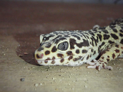 Photo5 Jpg