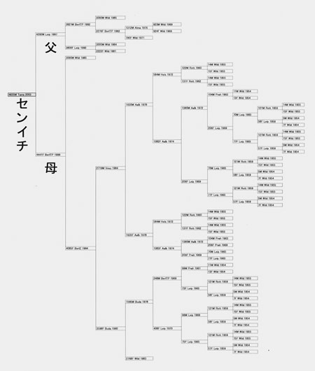 �Z���C�`�̌����}