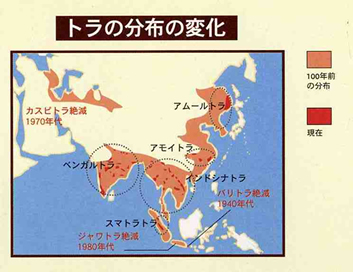 �g���̕��z�̕ω�