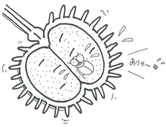 イラスト1