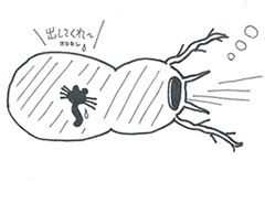 イラスト2