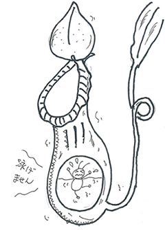 イラスト3