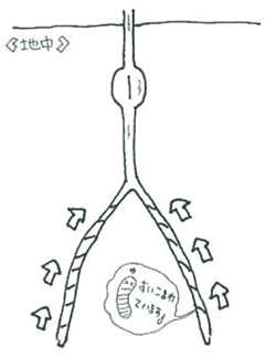 イラスト5