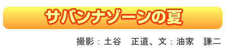 Toi][̉