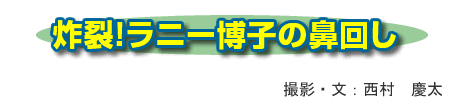 yIj[q̕@
