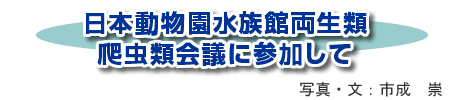 日本動物園水族館両生類爬虫類会議に参加して