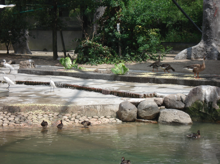 “鳥の楽園”の鳥たちにはそれぞれ好みの餌があります