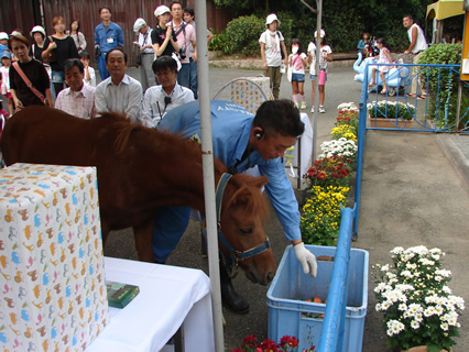 ������\�̖�Ԕn�̕�