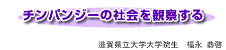 チンパンジーの社会を観察する