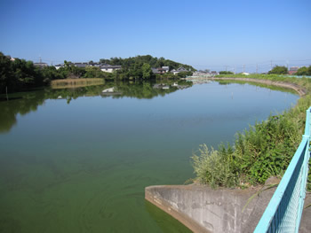 岸和田のため池（林池）