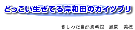 「ヘビはお嫌いですか？」