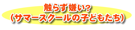 触らず嫌い？（サマースクールの子どもたち）