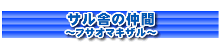 サル舎の仲間　～フサオマキザル～