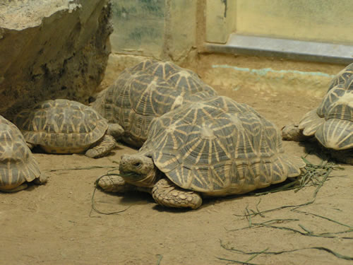 �A���_�u���]�E�K��