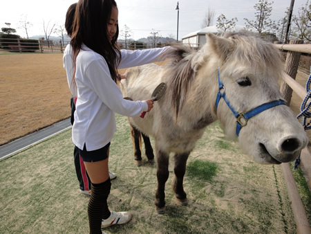 野間馬クラブ