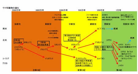 ウスリータイガ