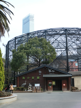 コアラ館