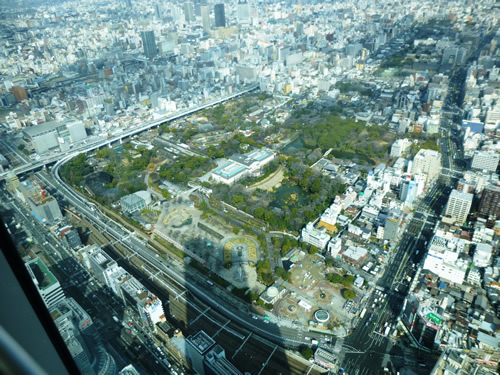 「ハルカス」から見た天王寺動物園