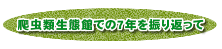 爬虫類生態館での7年を振り返って