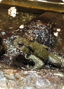 �i�K���q�L�K�G��