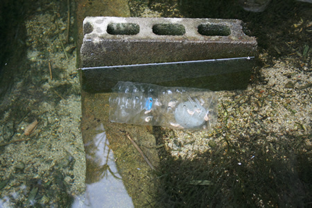稚魚を捕えるための仕掛け