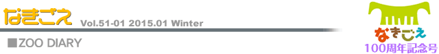Zoo Diary