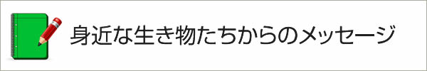 歴代のスターたち