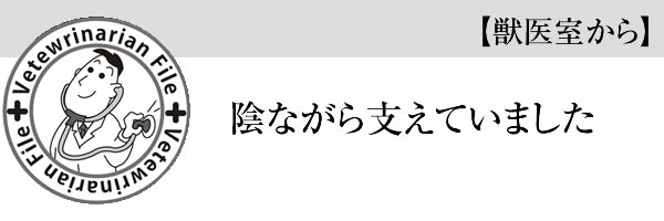 【獣医室から】陰ながら支えていました