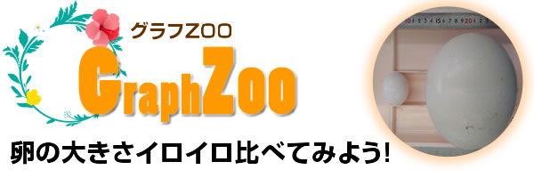 卵の大きさイロイロ比べてみよう！