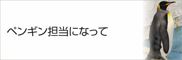 ペンギン担当になって