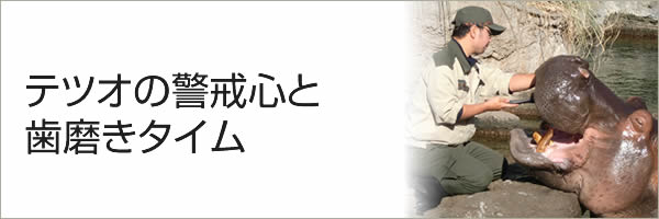 テツオの警戒心と歯磨きタイム