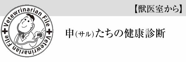 【獣医室から】申（サル）たちの健康診断