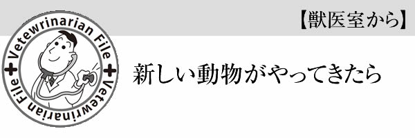 【獣医室から】新しい動物がやってきたら。