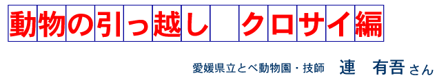 動物の引っ越し　クロサイ編