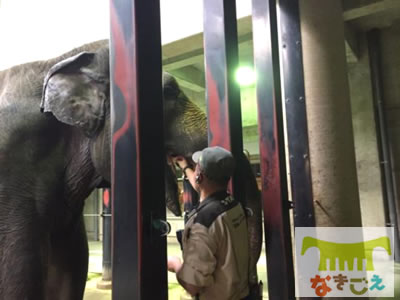 ラニー博子の口にリンゴを入れる筆者