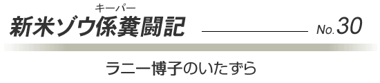 【獣医室から】ラニー博子のいたずら