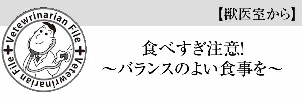 【獣医室から】食べすぎ注意！　～バランスのよい食事を～