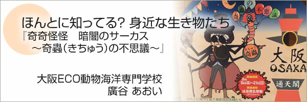 ほんとに知ってる？ 身近な生き物たち
『奇奇怪怪　暗闇のサーカス〜奇蟲（きちゅう）の不思議〜』