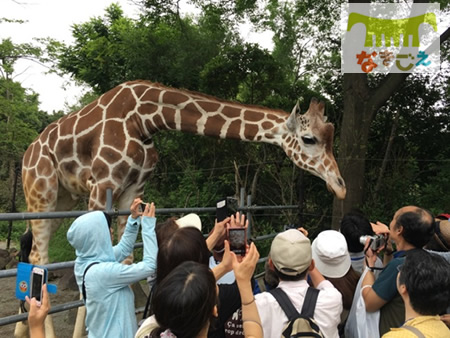 サポーター限定イベントのバックヤードツアー